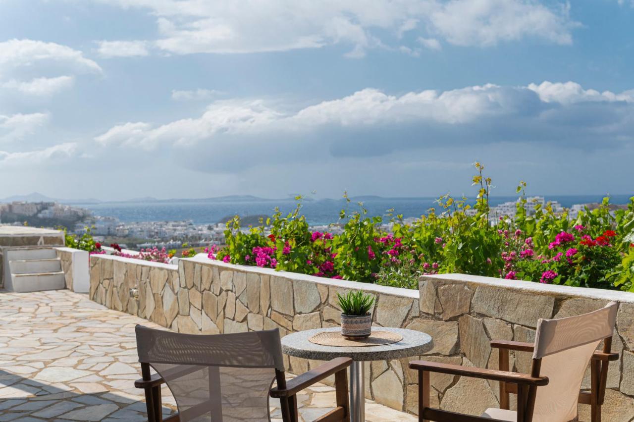 Aparthotel Petros & Naxos City